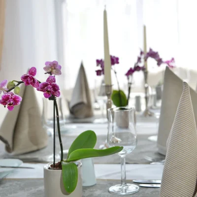 09e93b_6653ad72c39b4d1dbd113ce2ab87c648~mv2_d_2126_1419_s_2